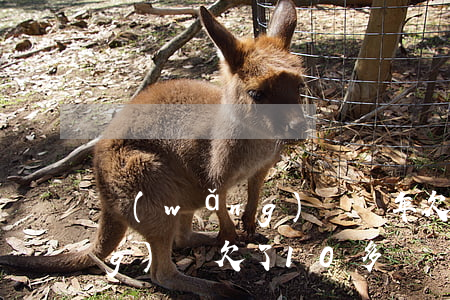 網(wǎng)貸兩年欠10萬(網(wǎng)貸欠了10多萬)