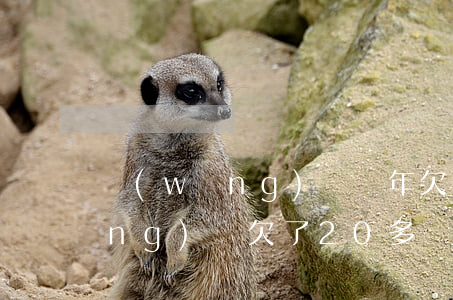 網(wǎng)貸兩年欠了12萬(網(wǎng)貸欠了20多萬)