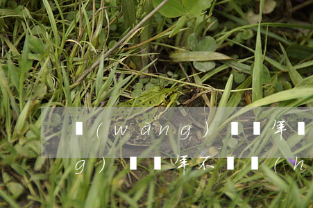 網(wǎng)貸兩年還不起-網(wǎng)貸兩年不還會(huì)起訴嗎