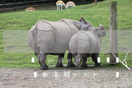 網(wǎng)貸兩萬(wàn)分36期還款每期975-網(wǎng)貸2萬(wàn)36期要多少利息