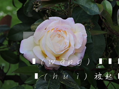 網(wǎng)貸兩萬(wàn)逾期多久會(huì)被起訴（網(wǎng)貸兩萬(wàn)逾期多久會(huì)被起訴）