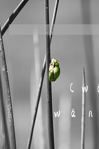 網(wǎng)貸兩萬多逾期一天利息(網(wǎng)貸逾期一千多天)