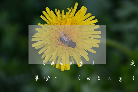 網(wǎng)貸兩萬逾期一年利息違約金多少-網(wǎng)貸兩萬逾期一年利息違約金多少錢