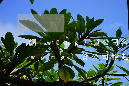 網(wǎng)貸公司客服說起訴我-網(wǎng)貸公司說起訴我是真的嗎