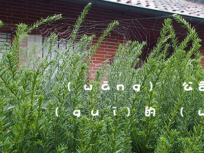 網(wǎng)貸公司是小額貸款公司(正規(guī)的網(wǎng)貸公司)