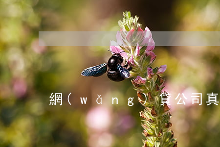 網(wǎng)貸公司真會上門催收嘛