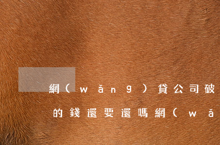 網(wǎng)貸公司破產(chǎn)欠的錢還要還嗎(網(wǎng)貸公司如果倒閉了,欠款還用還嗎?)
