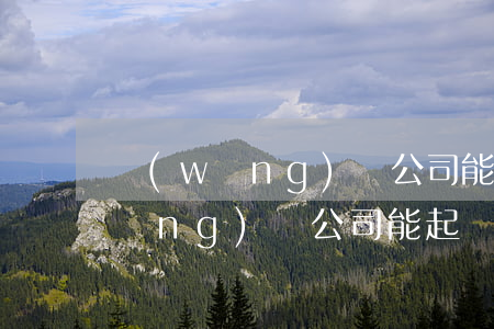 網(wǎng)貸公司能起訴個人嗎(網(wǎng)貸公司能起訴借款人嗎?)