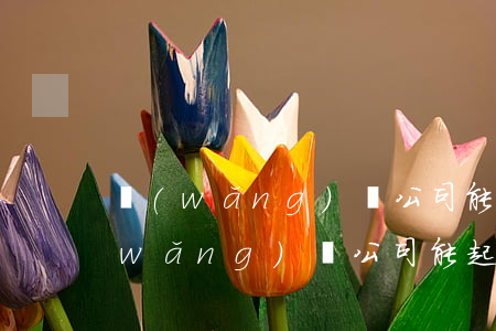 網(wǎng)貸公司能起訴夫妻嗎-網(wǎng)貸公司能起訴夫妻嗎有效嗎