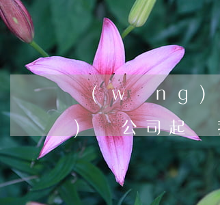 網(wǎng)貸公司能起訴(網(wǎng)貸公司起訴我怎么辦)