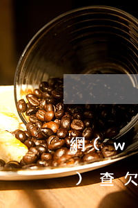 網(wǎng)貸公司被立案調(diào)查欠的錢還還么-網(wǎng)貸公司立案后怎么處理