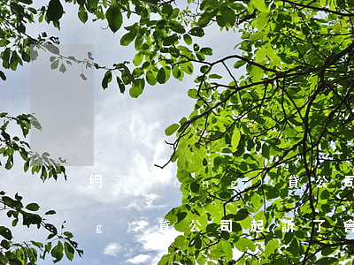 網(wǎng)貸公司被起訴(被網(wǎng)貸公司起訴了會(huì)不會(huì)坐牢)
