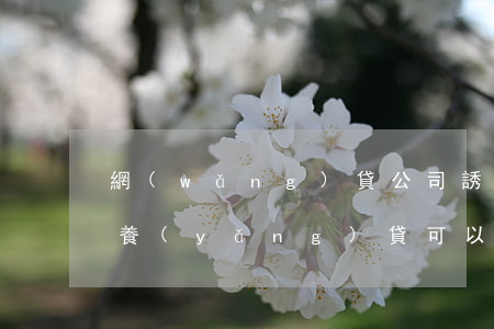 網(wǎng)貸公司誘導(dǎo)以貸養(yǎng)貸可以起訴嗎-網(wǎng)貸公司誘導(dǎo)以貸養(yǎng)貸可以起訴嗎知乎