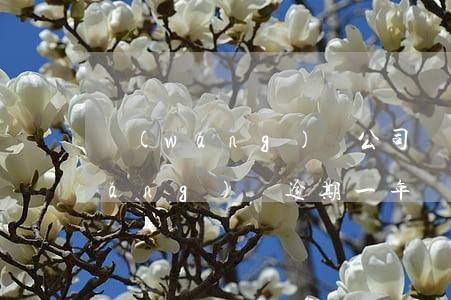 網(wǎng)貸公司說我逾期5年(網(wǎng)貸逾期一年說起訴了)