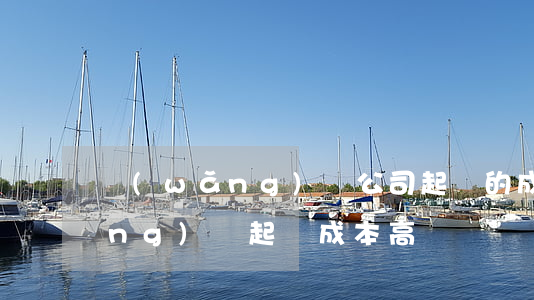 網(wǎng)貸公司起訴的成本(網(wǎng)貸起訴成本高嗎?)
