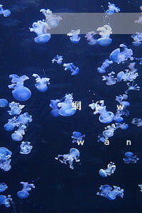 網(wǎng)貸公司逾期多久會上門(網(wǎng)貸公司逾期多久會上門)
