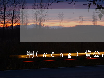 網(wǎng)貸公司逾期走法院程序