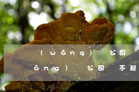 網(wǎng)貸公司還不起怎么辦 網(wǎng)貸公司還不起怎么辦呢