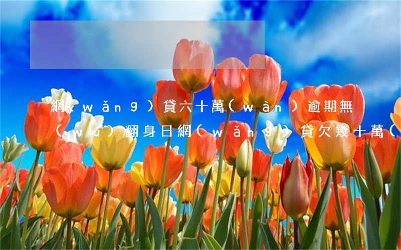 網(wǎng)貸六十萬(wàn)逾期無(wú)翻身日(網(wǎng)貸欠幾十萬(wàn)怎么翻身)