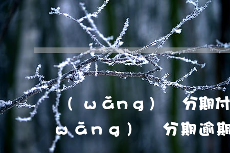 網(wǎng)貸分期付款不還怎么辦(網(wǎng)貸分期逾期了讓我把所有欠款還清)