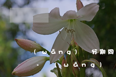 網(wǎng)貸分期同一天多筆還款可以嗎-網(wǎng)貸分期同一天多筆還款可以嗎安全嗎
