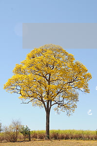 網(wǎng)貸分期已還清(網(wǎng)貸已經(jīng)分期了可以再分期嗎)