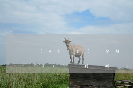 網(wǎng)貸分期還會(huì)不會(huì)利滾利（網(wǎng)貸逾期后會(huì)不會(huì)利滾利）