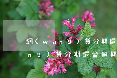 網(wǎng)貸分期還會逾期嗎(網(wǎng)貸分期還會逾期嗎)