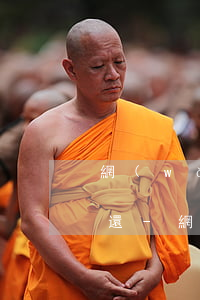 網(wǎng)貸分期還款一次性還款怎么還-網(wǎng)貸分期還款一次性還款怎么還的
