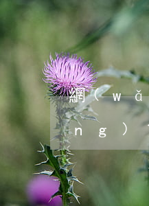 網(wǎng)貸利息合法還不起(網(wǎng)貸利息合法還不起)