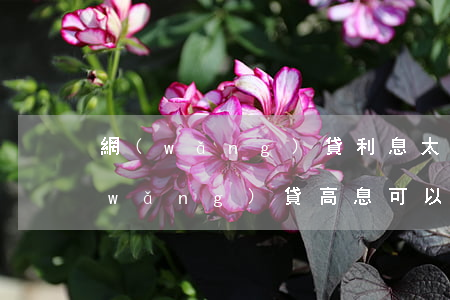網(wǎng)貸利息太高可以不還了(網(wǎng)貸高息可以不還嗎)