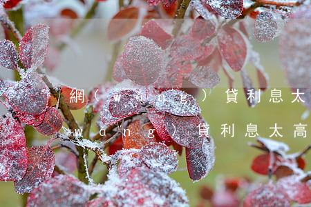 網(wǎng)貸利息太高可以不還嗎(網(wǎng)貸利息太高可以不還嗎,都是小貸)