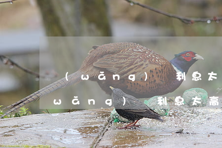 網(wǎng)貸利息太高可以不還嘛(網(wǎng)貸利息太高可以不還嗎)