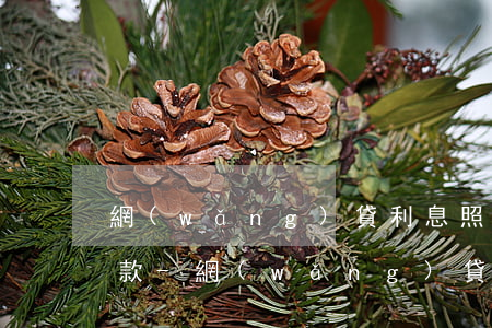 網(wǎng)貸利息照樣給還不讓提前還款-網(wǎng)貸利息照樣給還不讓提前還款怎么辦