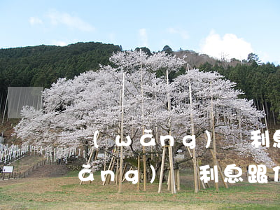 網(wǎng)貸利息跟信用卡利息(網(wǎng)貸利息跟信用卡利息)