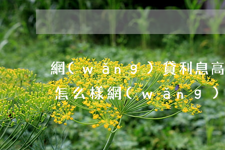 網(wǎng)貸利息高不還會(huì)怎么樣(網(wǎng)貸利息過(guò)高)