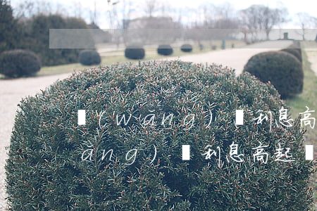 網(wǎng)貸利息高起訴的案件 網(wǎng)貸利息高起訴的案件有哪些