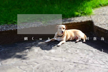 網(wǎng)貸利息高逾期時間過長了怎么辦-網(wǎng)貸利息高逾期時間過長了怎么辦呢