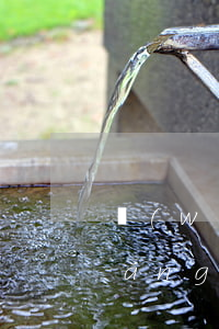 網(wǎng)貸利率高怎么去起訴(網(wǎng)貸利息太高到哪里去起訴)