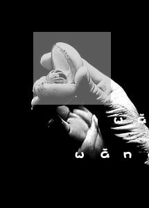 網(wǎng)貸到期了沒錢還怎么辦(網(wǎng)貸逾期了沒錢還怎么辦)