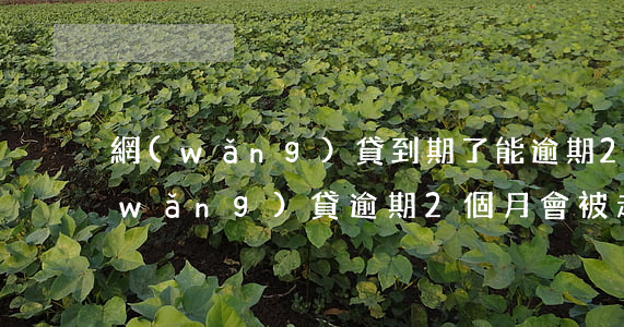 網(wǎng)貸到期了能逾期2個月(網(wǎng)貸逾期2個月會被起訴嗎)