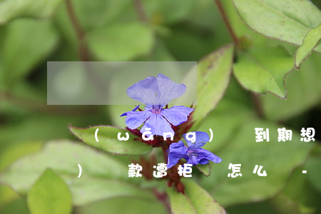 網(wǎng)貸到期想延長(zhǎng)還款遭拒絕怎么辦-網(wǎng)貸到期想延長(zhǎng)還款遭拒絕怎么辦理