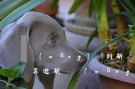 網(wǎng)貸到期當(dāng)天還算逾期嗎(網(wǎng)貸逾期全部還清了多久以后才能再貸款)