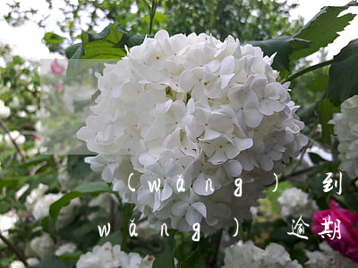 網(wǎng)貸到還款日多久算逾期(網(wǎng)貸逾期幾天還了還能借嗎?)