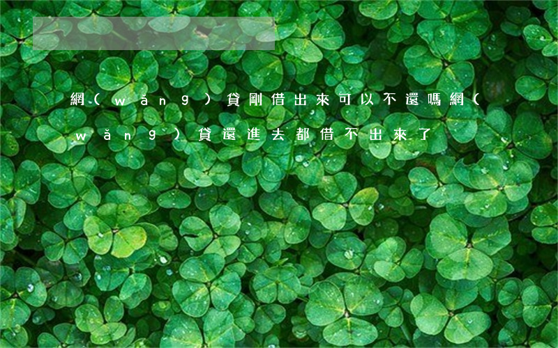 網(wǎng)貸剛借出來可以不還嗎(網(wǎng)貸還進去都借不出來了)