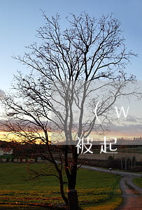 網(wǎng)貸剛逾期一個(gè)月會被起訴嗎-網(wǎng)貸逾期快一年了 會被起訴嗎