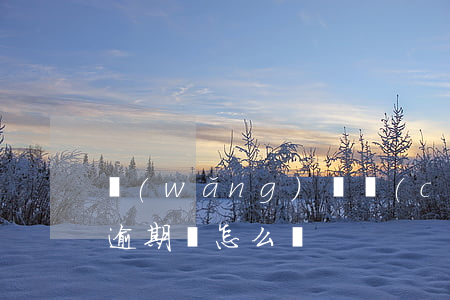 網(wǎng)貸創(chuàng)鑫寶逾期會怎么樣