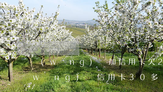 網(wǎng)貸加信用卡欠24萬(欠網(wǎng)貸信用卡30多萬還有活路嗎)