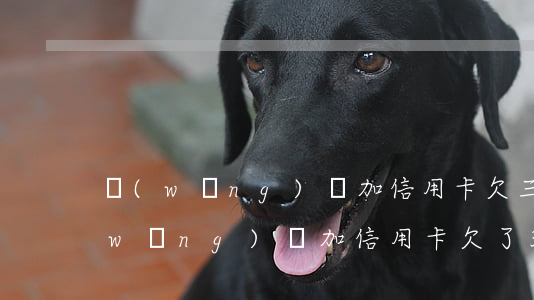 網(wǎng)貸加信用卡欠三四十萬(網(wǎng)貸加信用卡欠了30萬)