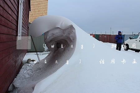 網(wǎng)貸加信用卡欠了6萬(欠網(wǎng)貸信用卡五十多萬)
